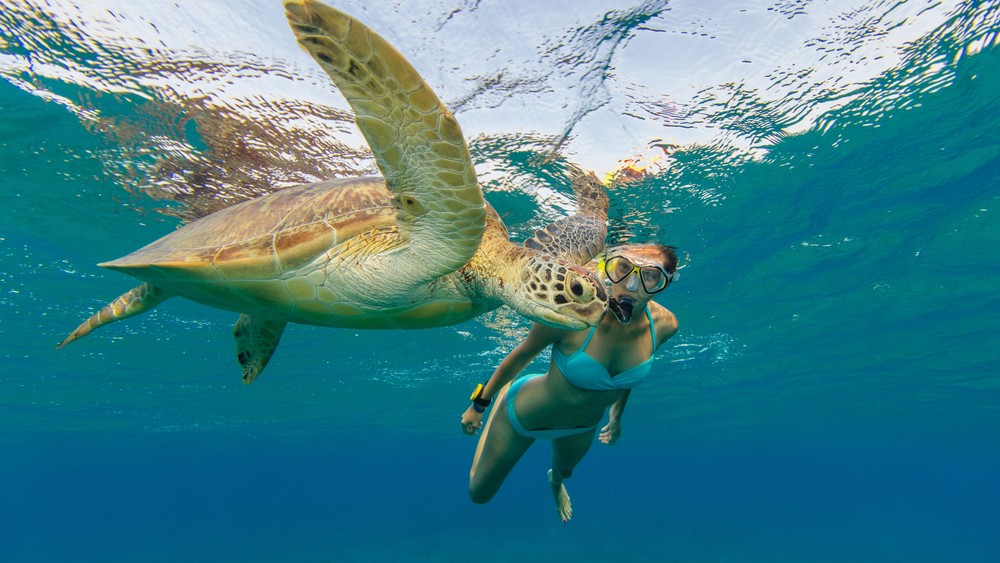 Snorkeling Tour At Hamata Islands From Marsa Alam Axa Tours