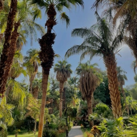 Aswan Botanical Garden Aswan Botanical Garden