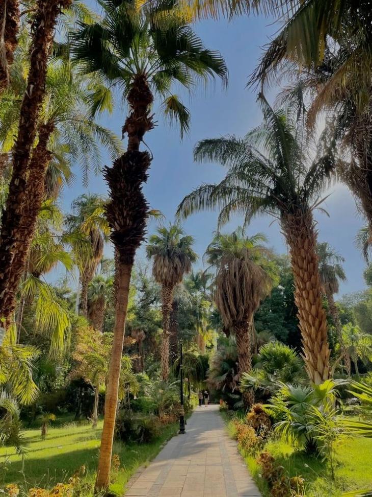 Aswan Botanical Garden