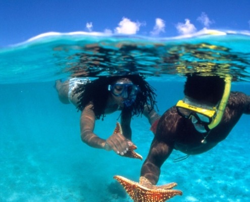 Best snorkeling spots in the Caribbean