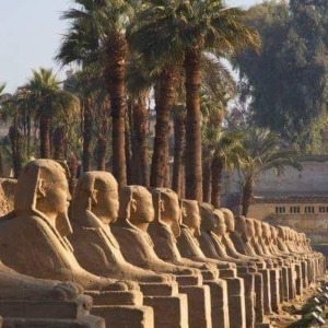 From The Sphinxes_Avenue Karnak Temples Luxor… karnak temple
