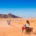 quad biking desert safari