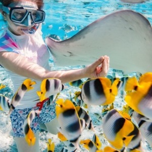 SNORKELING-TRIP-PORT-GHALIB-boat-trip-sea-trip-axatour-5 fish of the red sea