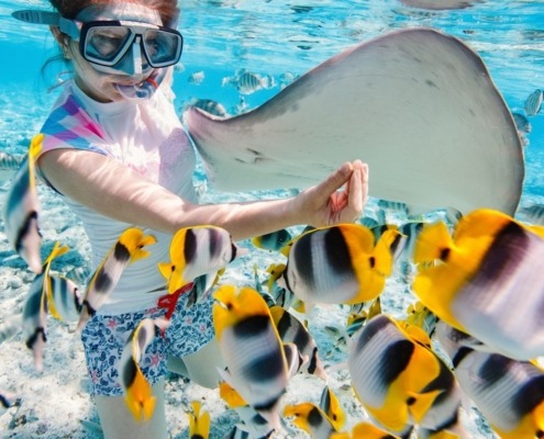SNORKELING-TRIP-PORT-GHALIB-boat-trip-sea-trip-axatour-5 fish of the red sea