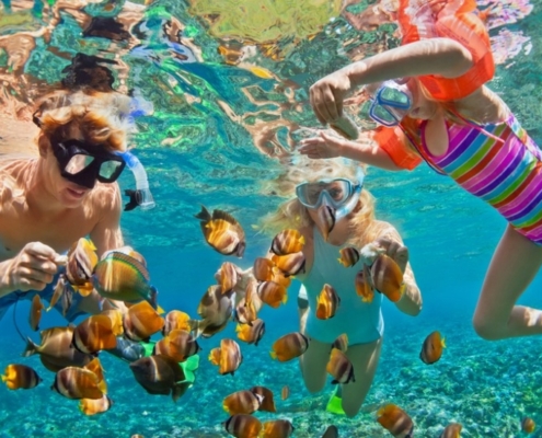 Snorkeling w Marsa Mubarak