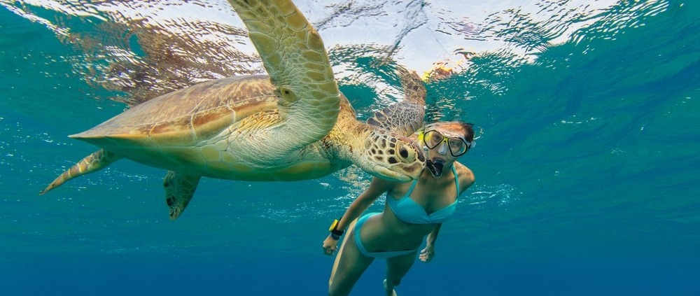 things to do in marsa alam