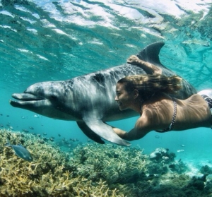 Sataya-dolphin house-snorkeling