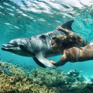 Sataya-dolphin house-snorkeling