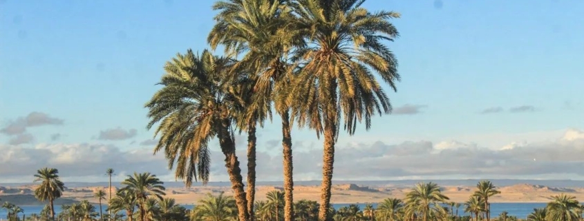 valley of the wahles and fayoum oasis