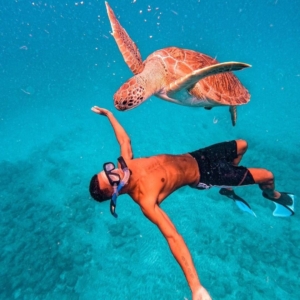hamata island- snorkeling
