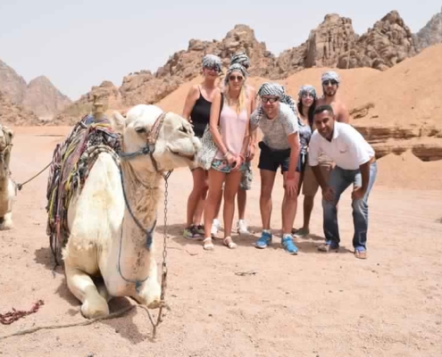 camel-ride-safari-adventures-sharm-68525 (46)