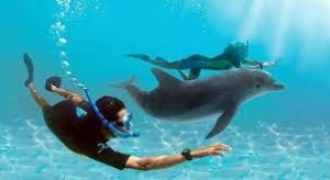 dolphine house trip-hurghada-axa tours