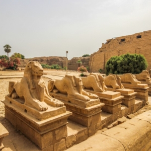 karnak-luxor-hatshepswt-vally of the kings-tempel-pharos-ancient egypt-axa tours (21)