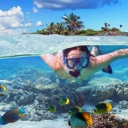 mahmya island  snorkeling trip