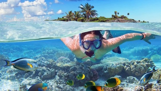 mahmya island  snorkeling trip