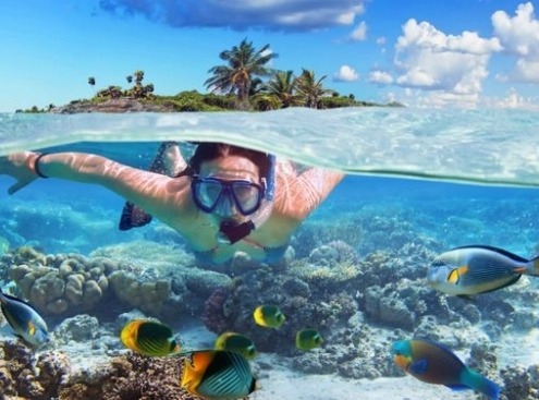 mahmya island snorkeling trip