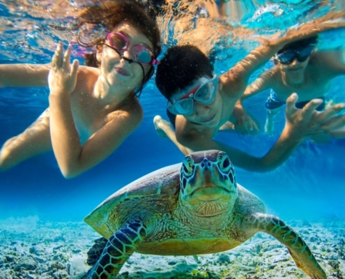 boat trip in red sea