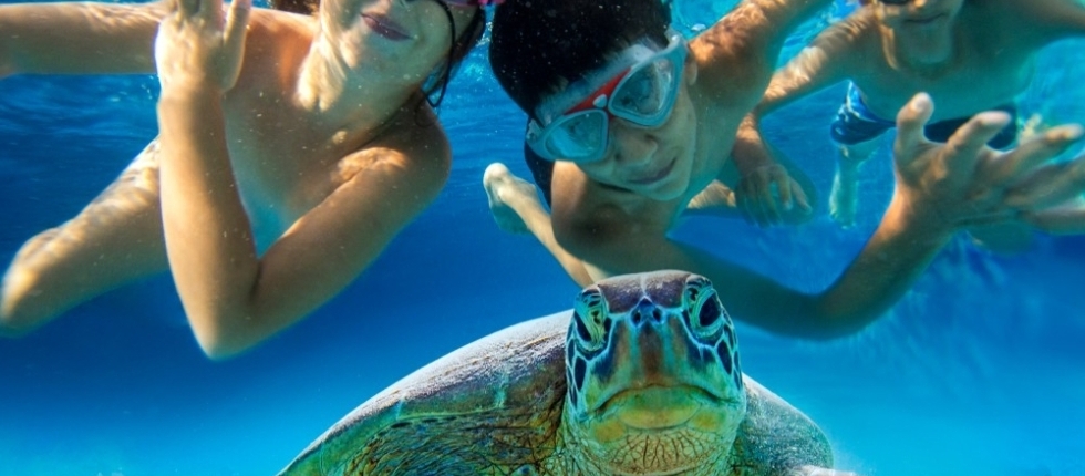 boat trip in red sea