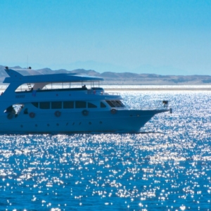 ras mohamed-boat trip-sea trip- snorkeling-axatours