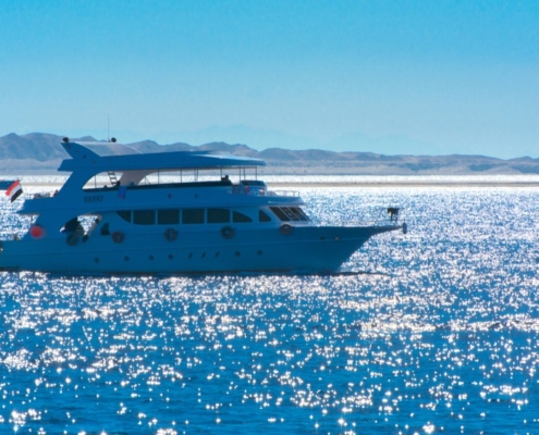 ras mohamed-boat trip-sea trip- snorkeling-axatours