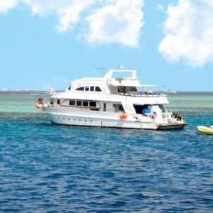 Tiran-island-boat-trip-sea-trip-snorkeling-axatours Top 15 Best Things to Do in Sharm El Sheikh
