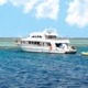 Top 15 Best Things to Do in Sharm El Sheikh