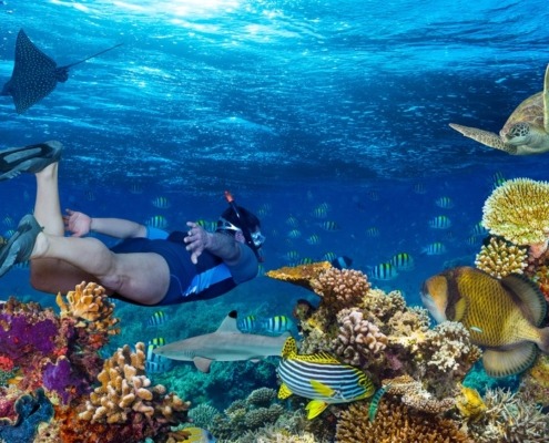 Tiran-island-boat-trip-sea-trip-snorkeling-axatours-2