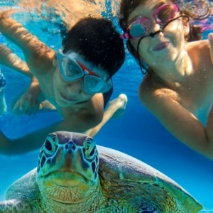 snorkeling-boat-trip-orang-bay-axa-tours-1-1