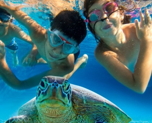 snorkeling-boat-trip-orang-bay-axa-tours-1-1