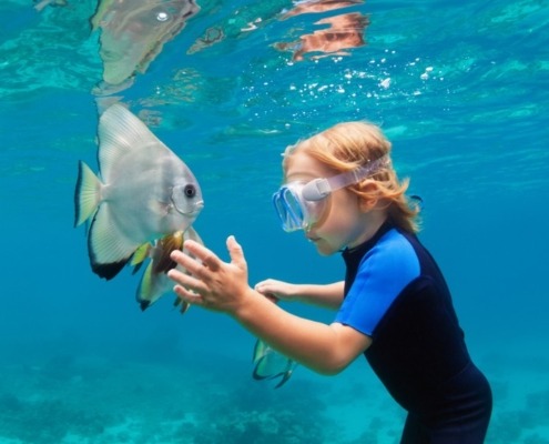 snorkeling-boat-trip-orang-bay-axa-tours-2