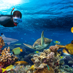 snorkeling-boat trip-orang bay-axa tours