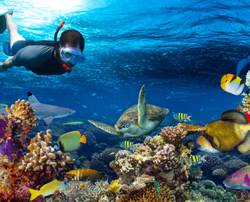 snorkeling-boat trip-orang bay-axa tours