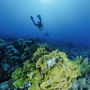 tiran-island-snorkeling-axa-tours (1)