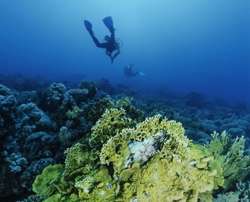 tiran-island-snorkeling-axa-tours (1)