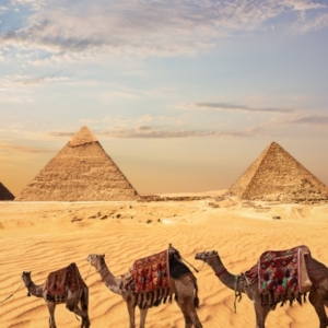 Cairo -Giza pyramids-port said.