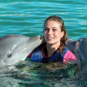 hurgada- swimming with dolphins