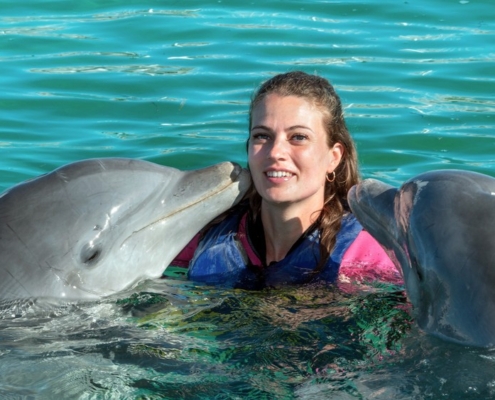 hurgada- swimming with dolphins