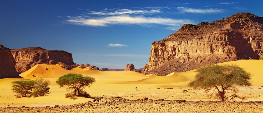 jeep safari-aladine-adventure-safari-desert-axatour (2)