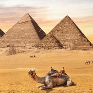 rlNCQ262Gp 14 tips for visiting Egypt