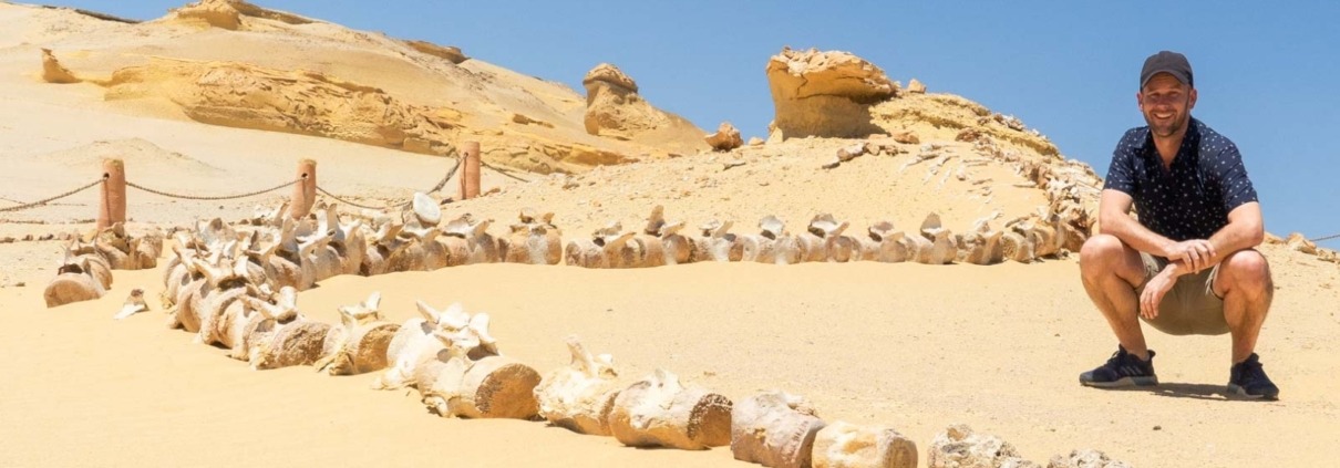 valley of the whales- Fayoum