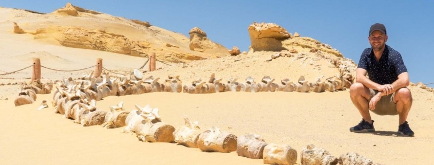 valley of the whales- Fayoum