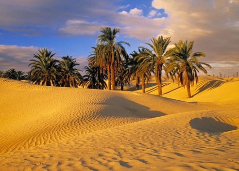 7 days egypt tour package