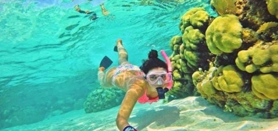 red sea