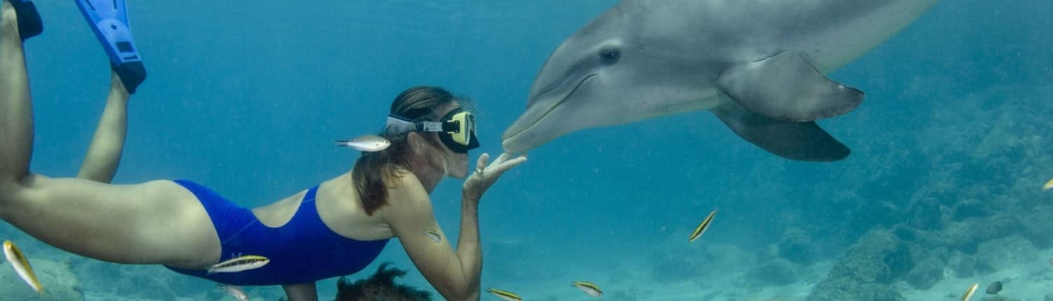 dolphin house marsa alam