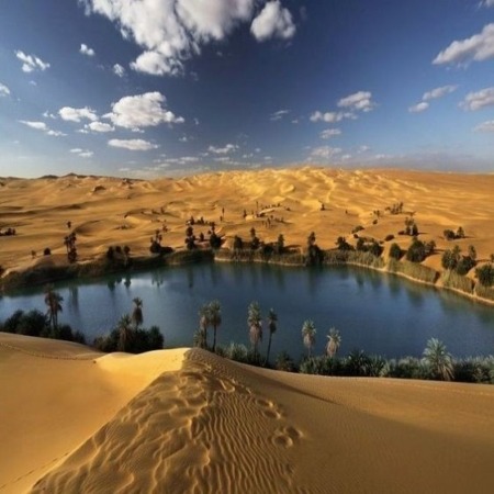 siwa cover-1 siwa oasis