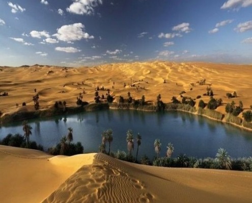 siwa cover-1 siwa oasis