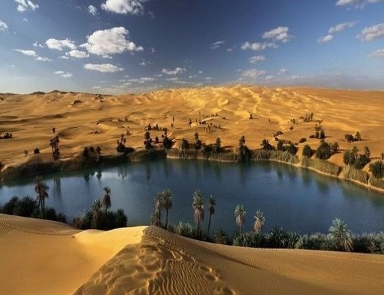 siwa oasis