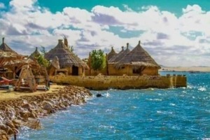 siwa oasis