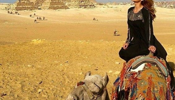 egypt tour package for 7 days
