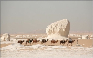 white desert